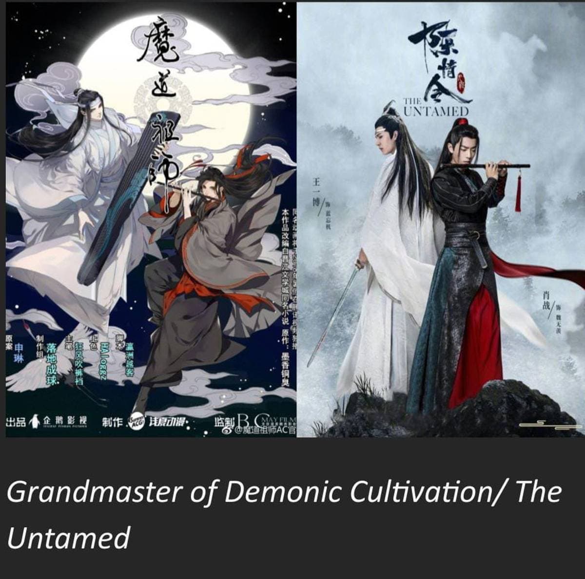 Fact Check: Danmei is a genre of Chinese literature focusing on male-male romantic relationships.
