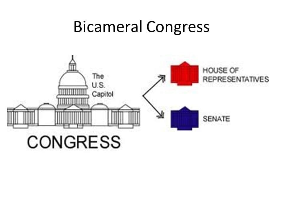Fact Check: The U.S. has a bicameral legislature consisting of the House of Representatives and the Senate.