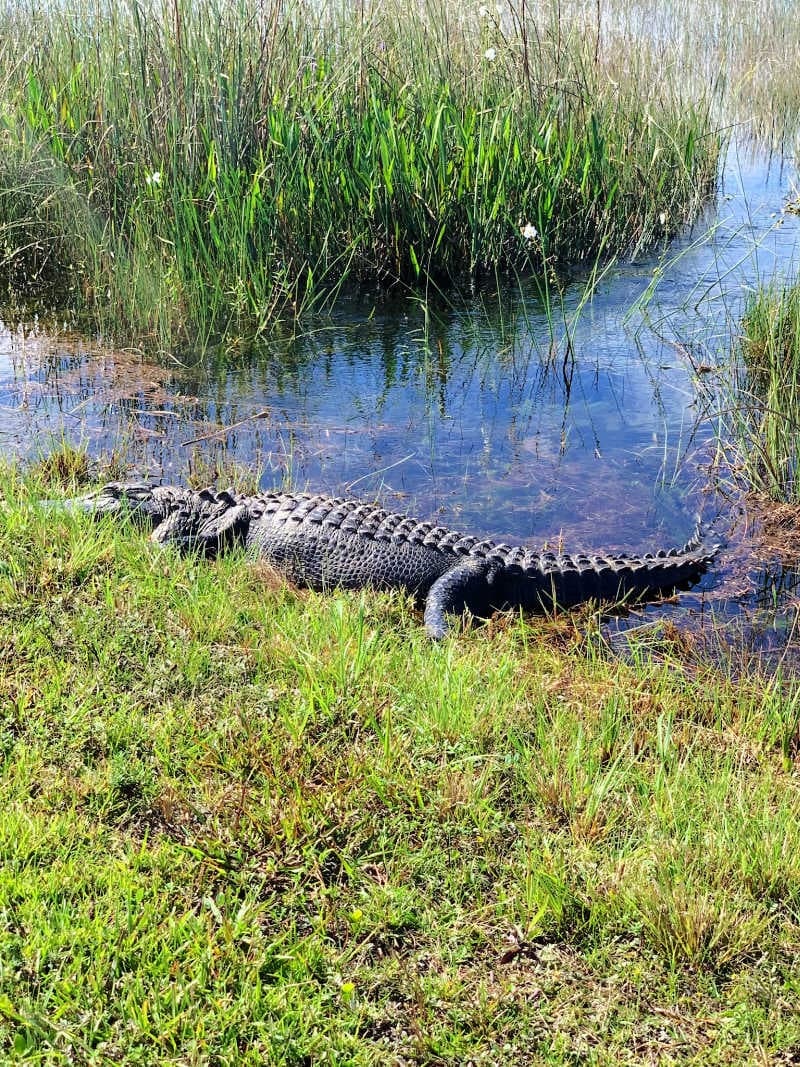 Fact Check: The Everglades National Park is a protected area in Florida.