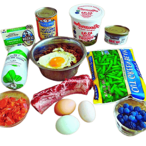 Fact Check: Is egg good for dogs?
