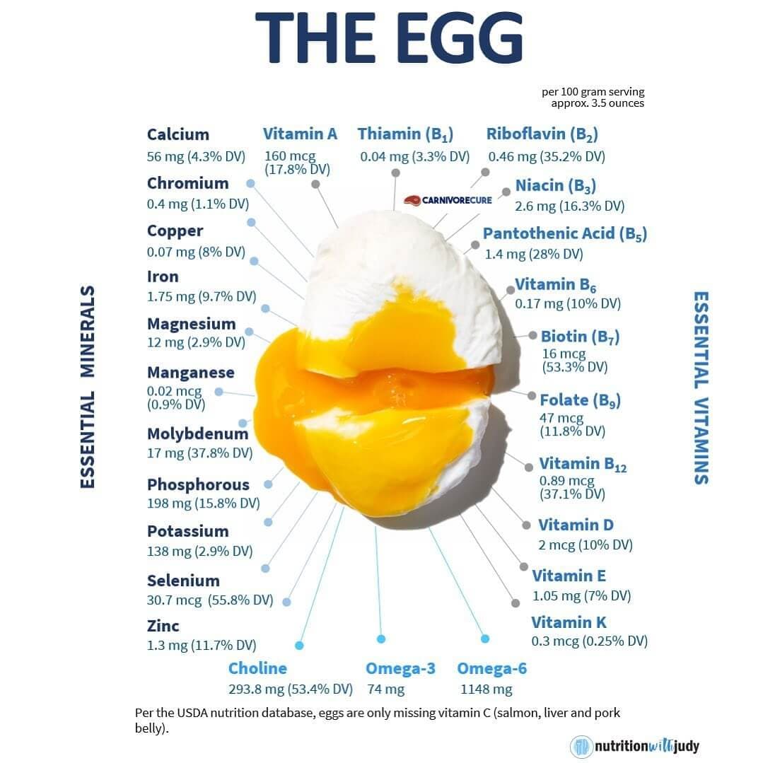 Fact Check: Is egg protein?