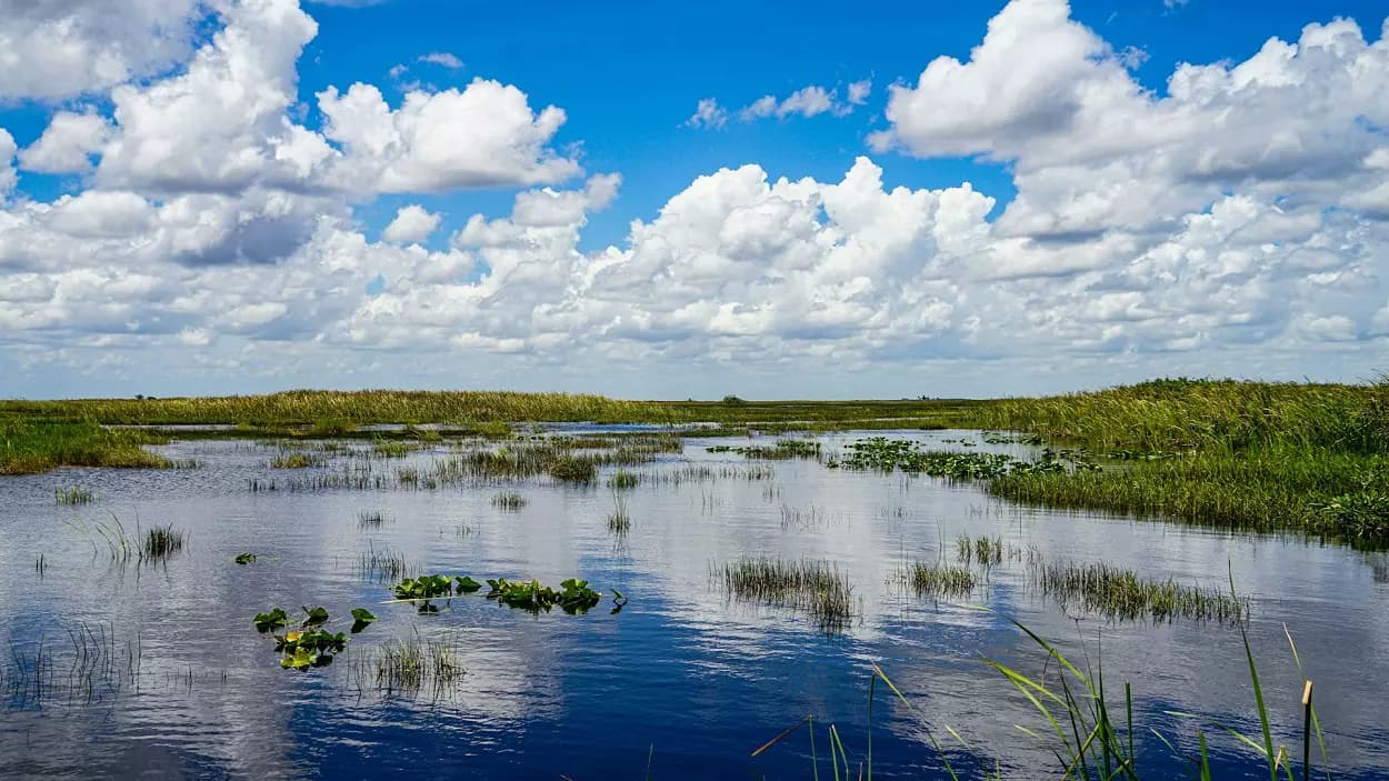 Fact Check: The Everglades National Park is a protected area.