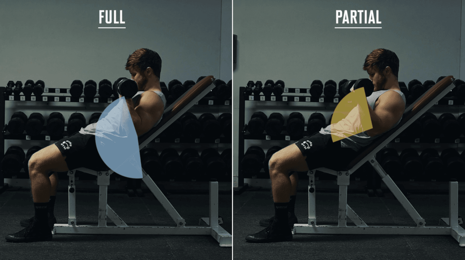 Fact Check: Is gym a sport?