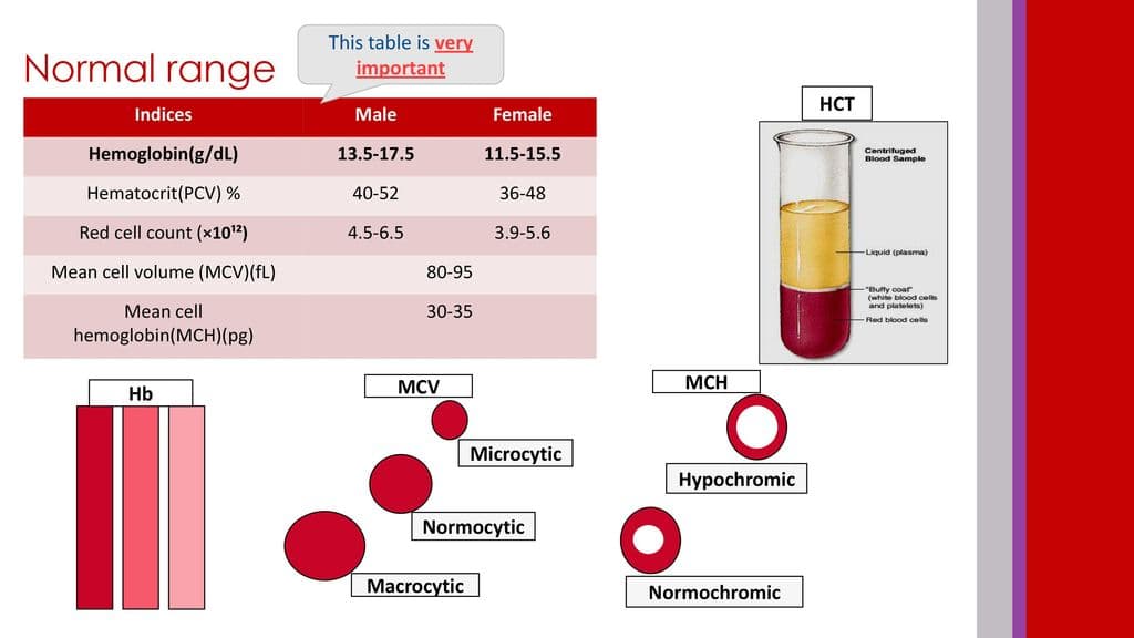 Fact Check: Is hemoglobin hgb?