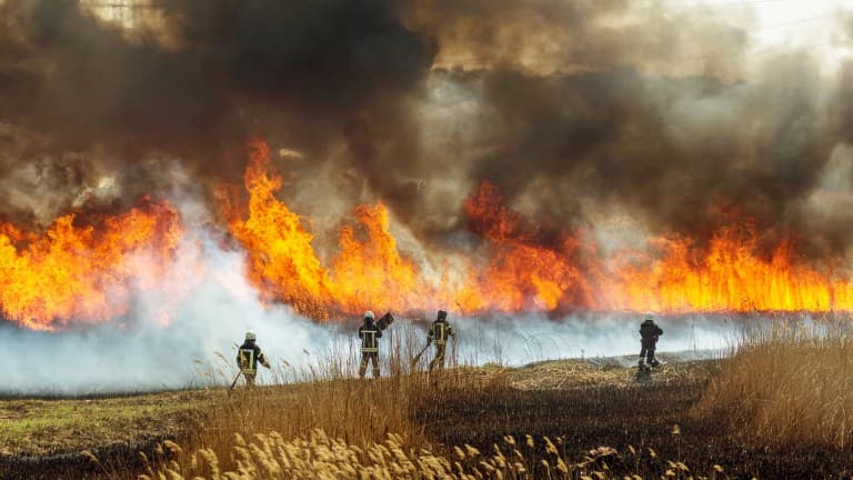 Fact Check: Wildfires can be started by human activities.