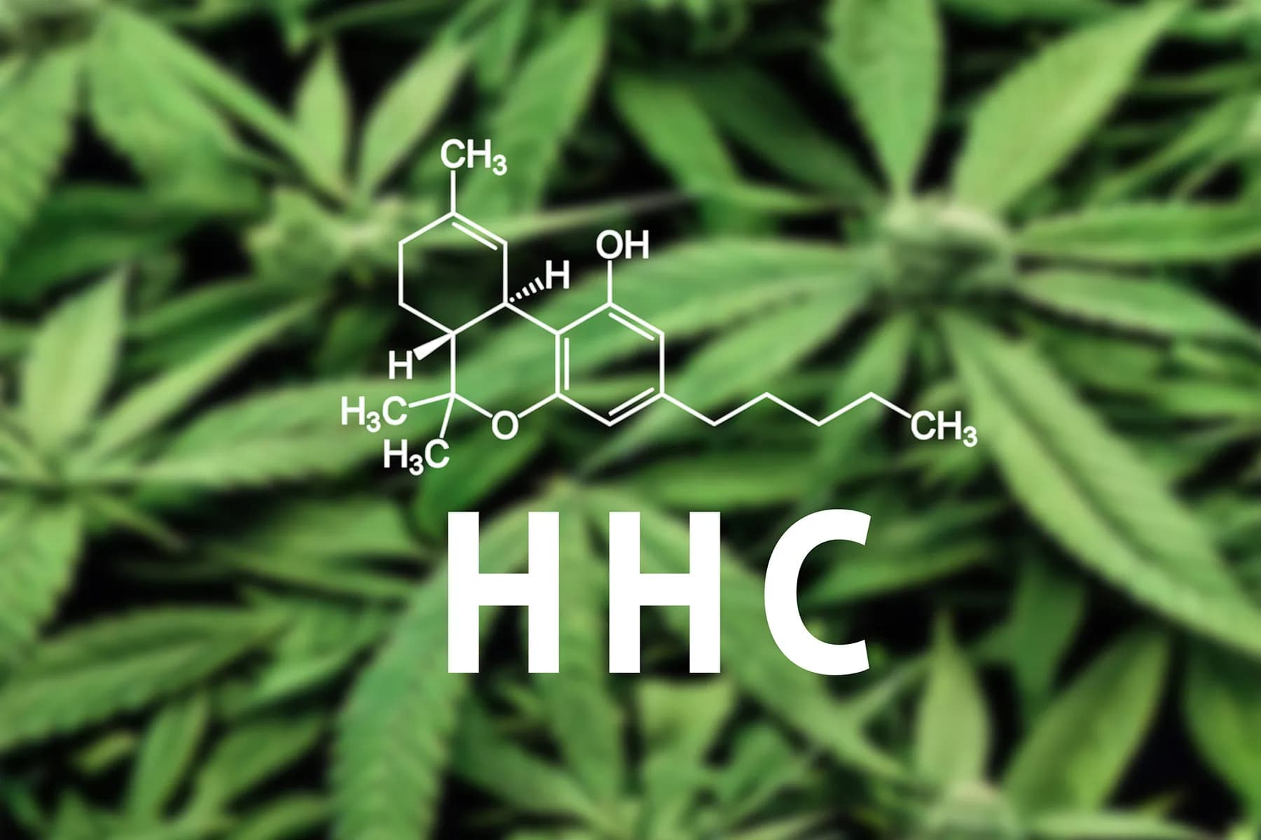 Fact Check: Is hhc stronger than thc?