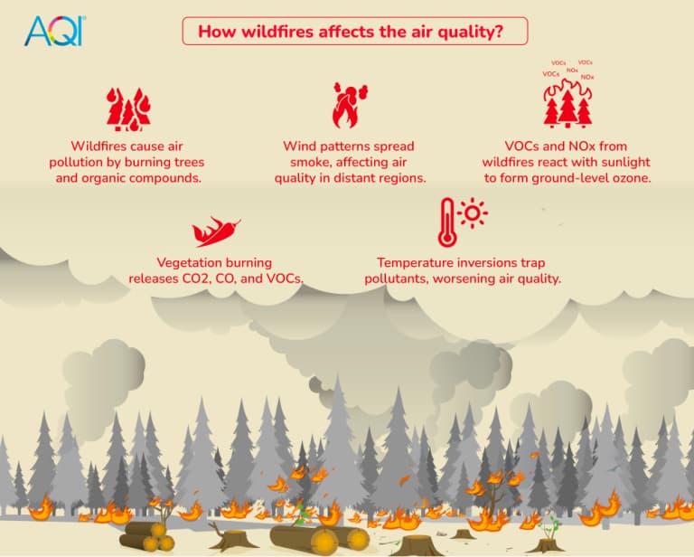 Fact Check: Air pollution from wildfires can worsen air quality significantly.