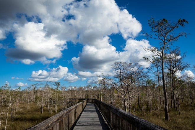 Fact Check: The Big Cypress National Preserve was established in 1974.