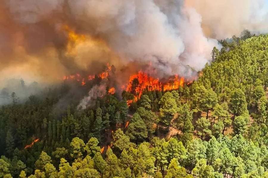 Fact Check: High temperatures can increase the risk of wildfires.