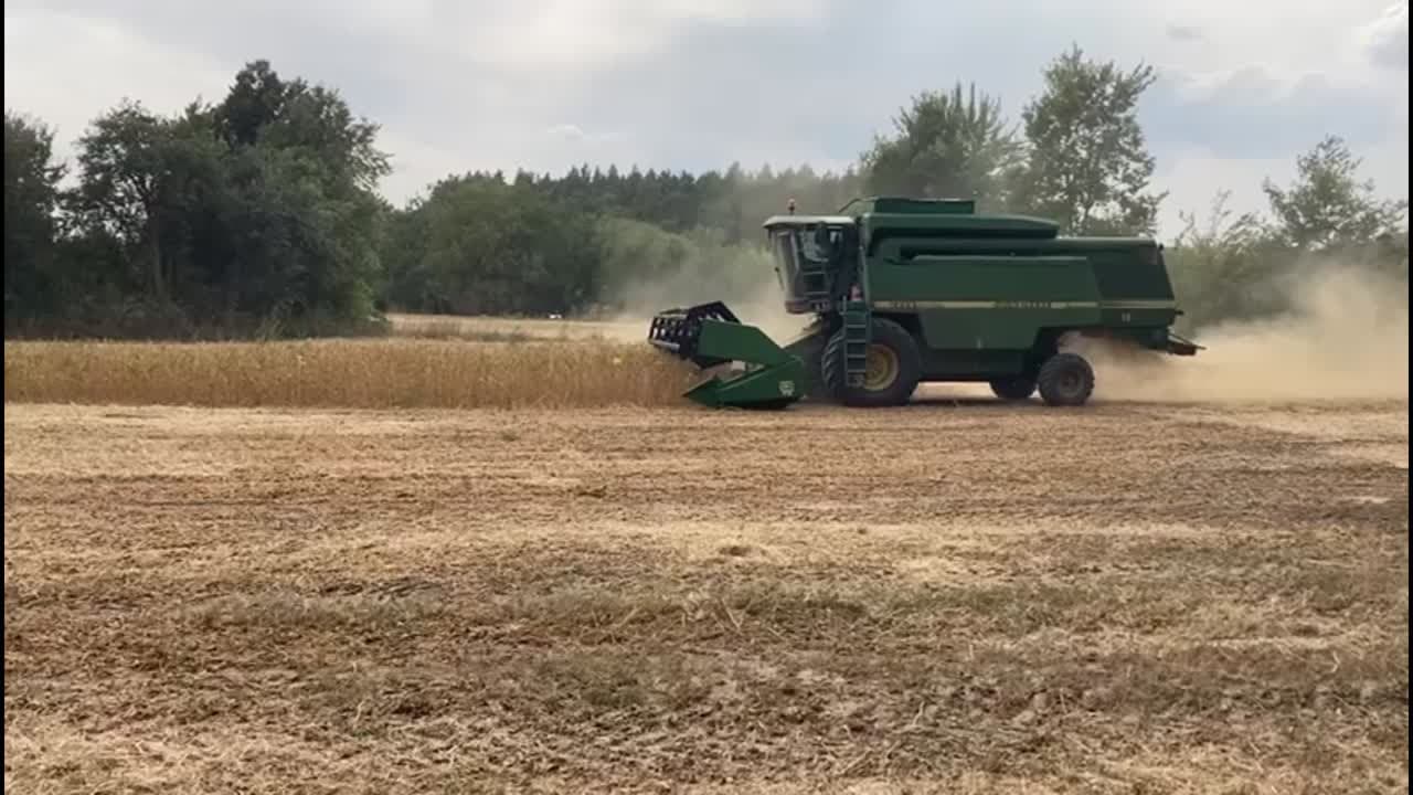 Fact Check: Agriculture is a significant sector of Ukraine's economy.