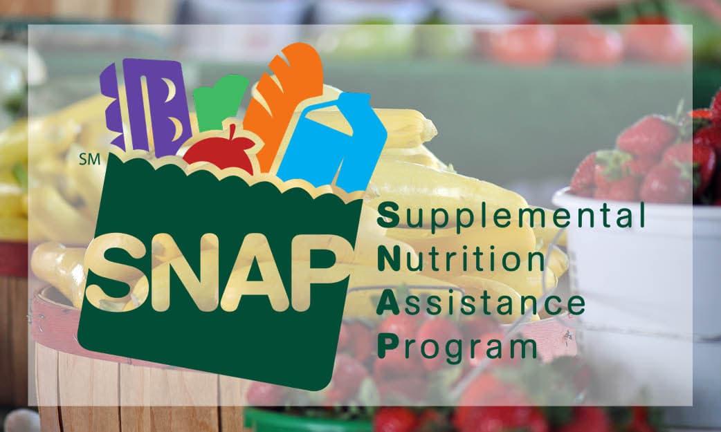 Fact Check: Food stamp programs are designed to assist low-income individuals and families.
