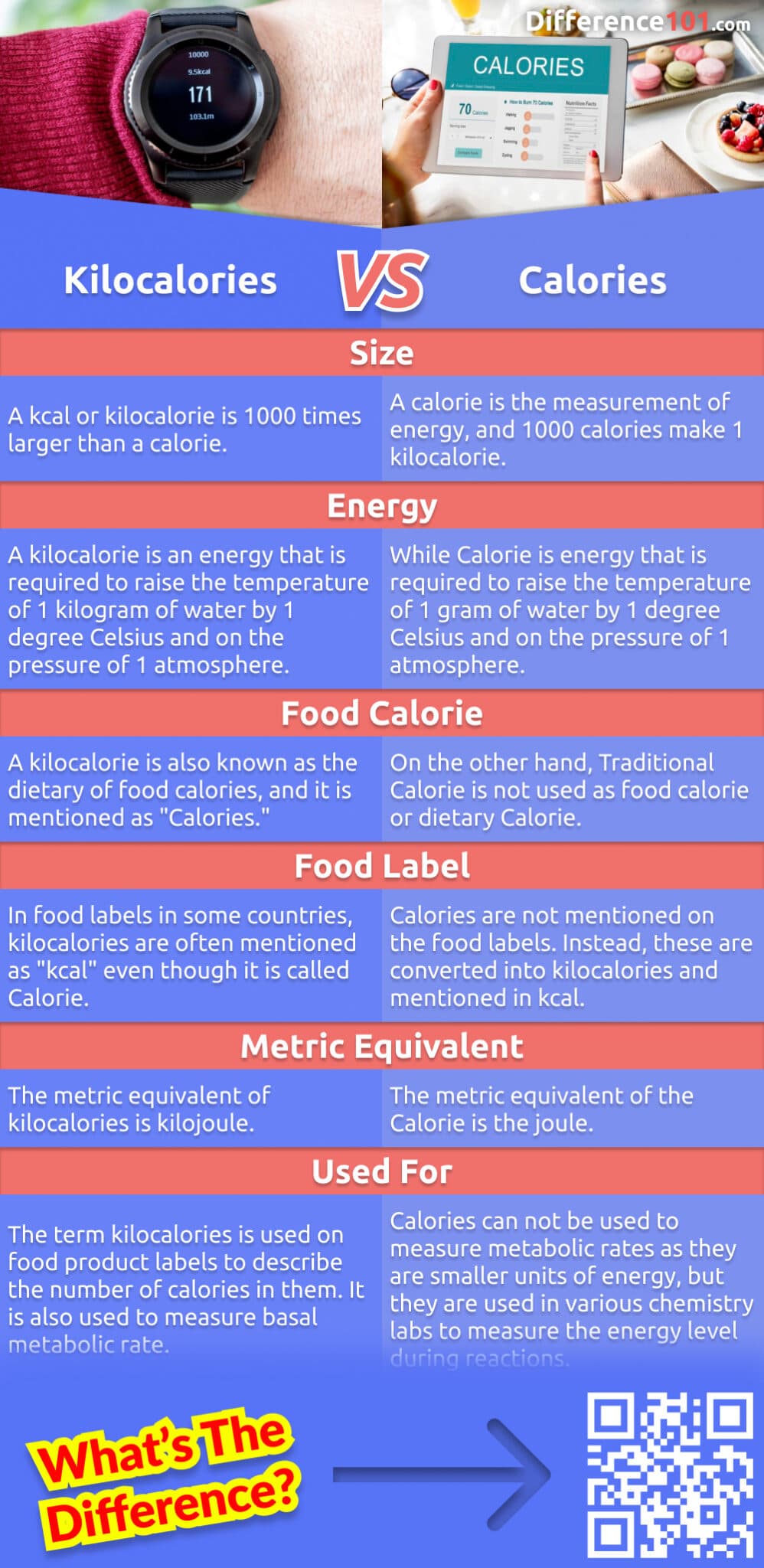 Fact Check: Is kcal and calories the same thing?