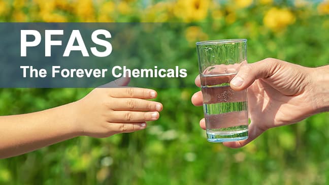 Fact Check: Pfas are chemicals that do not break down naturally in the environment.