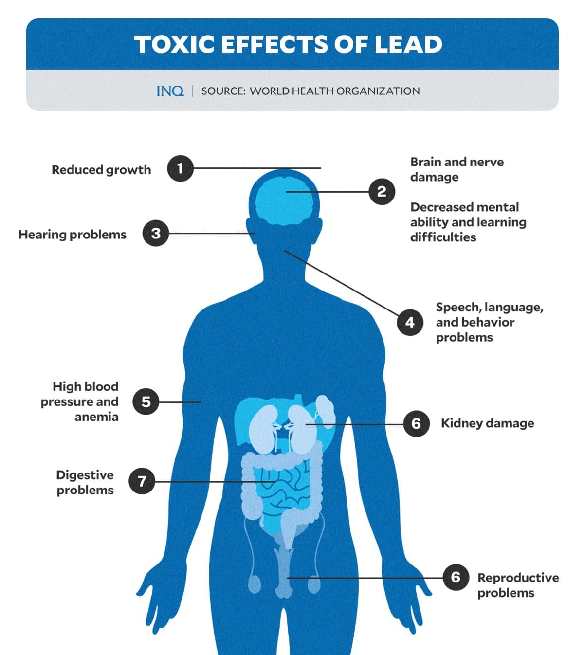 Fact Check: Is lead toxic?