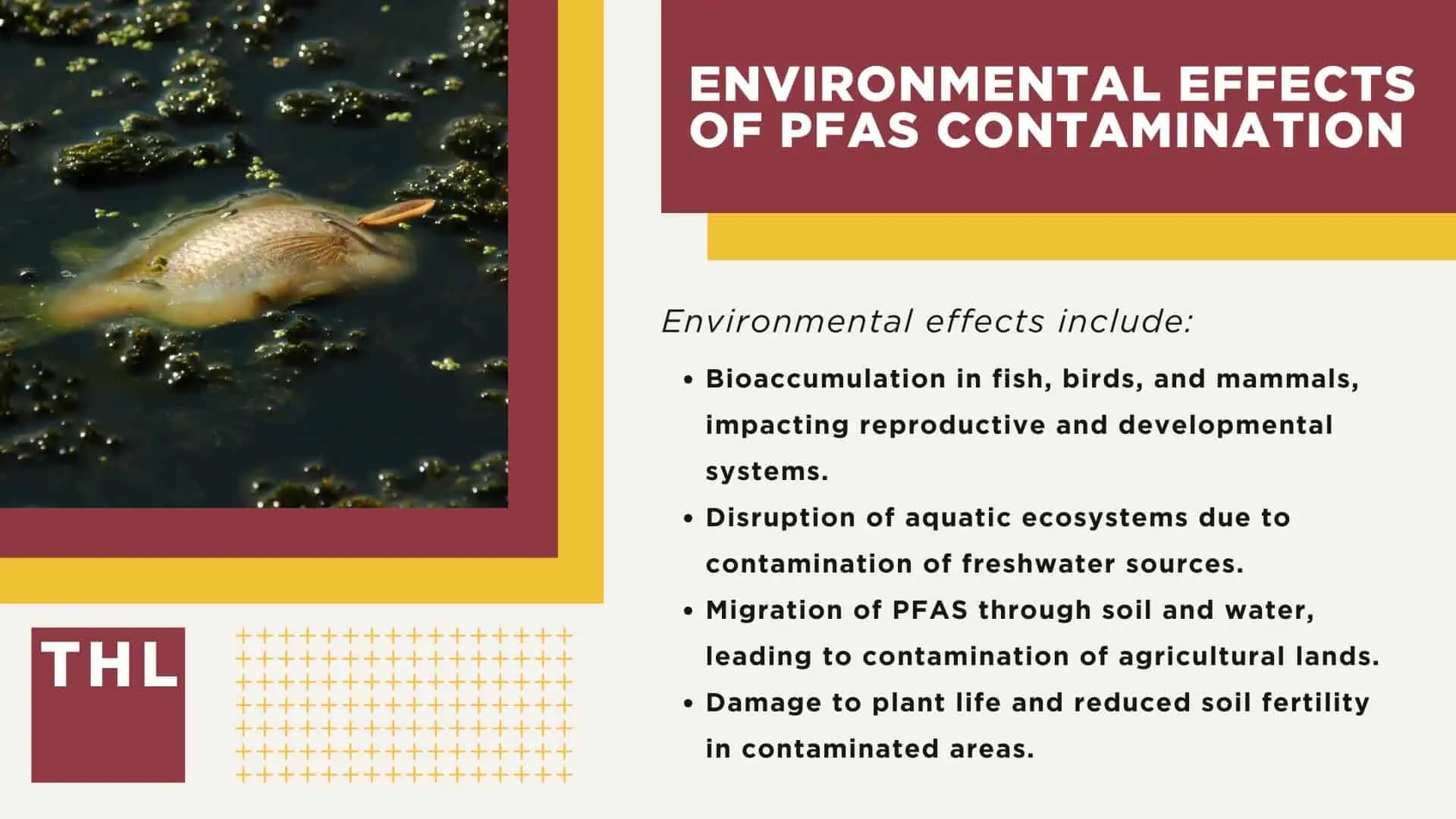 Fact Check: Drinking water contaminated with Pfas poses risks to human health.