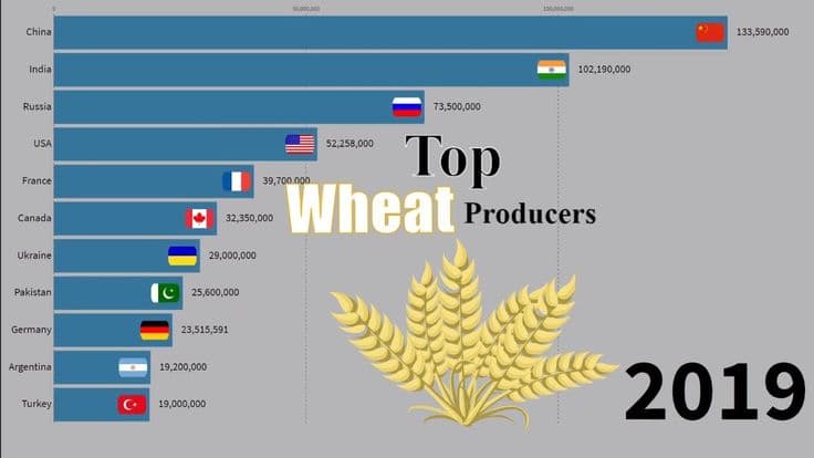 Fact Check: Ukraine is one of the largest grain producers in the world.