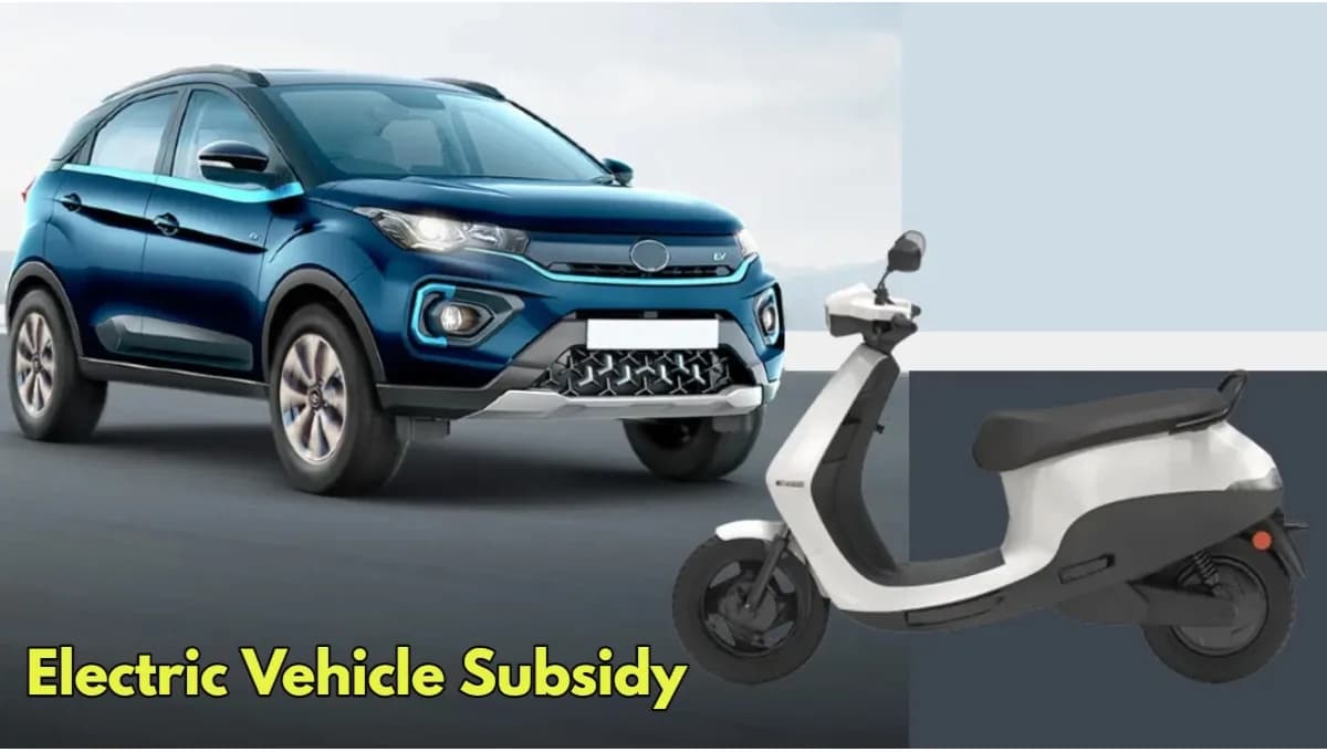 Fact Check: Subsidies can influence the viability of electric vehicle manufacturers.