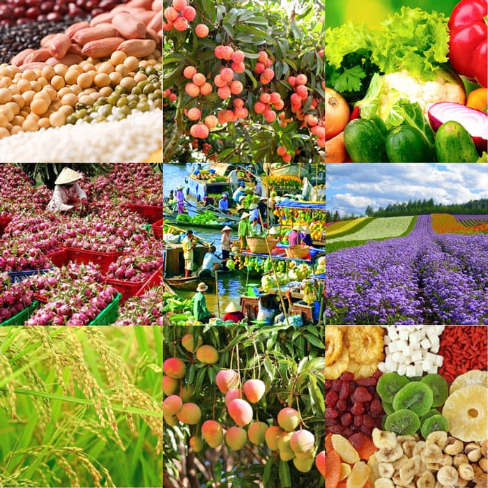 Fact Check: Agricultural products include grains, sugar, poultry, and honey.
