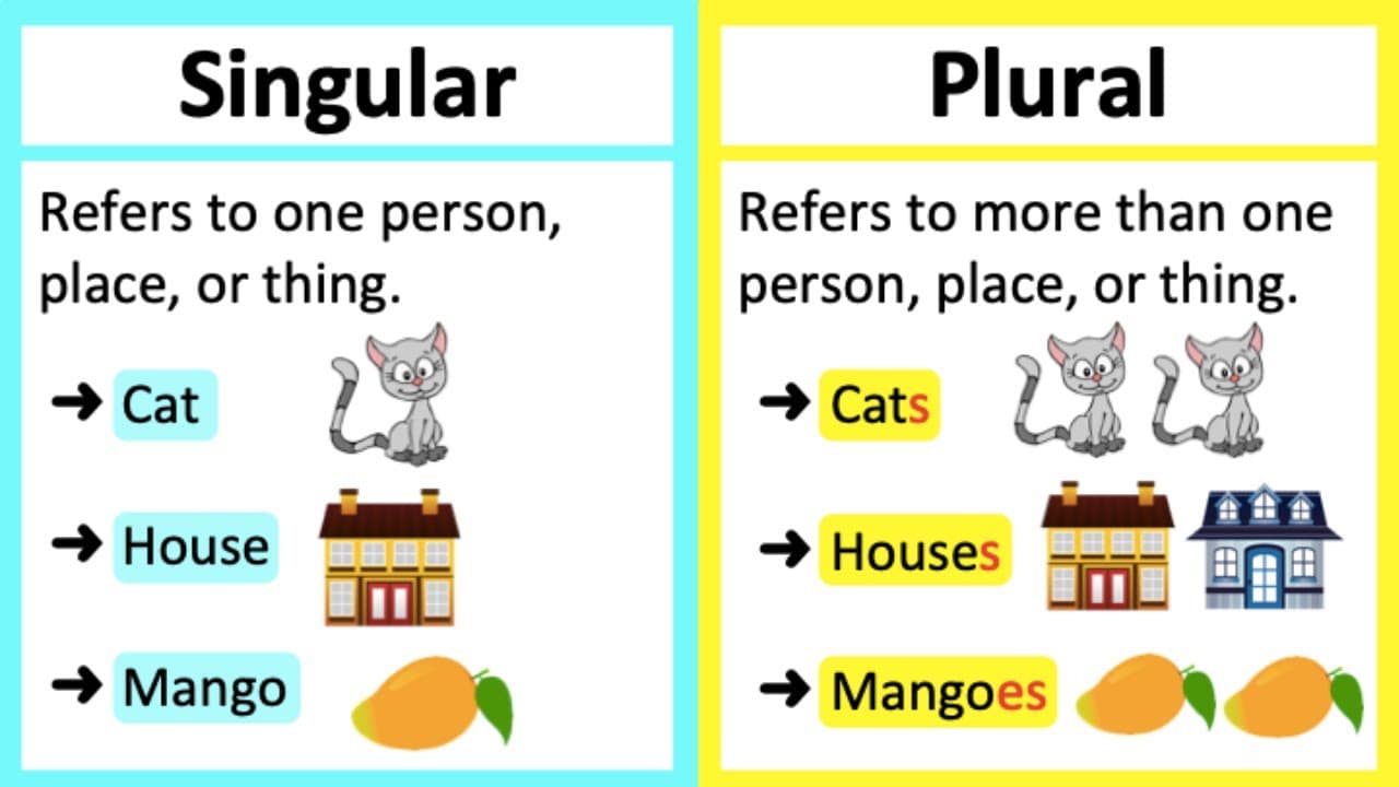 Fact Check: Is news singular or plural?