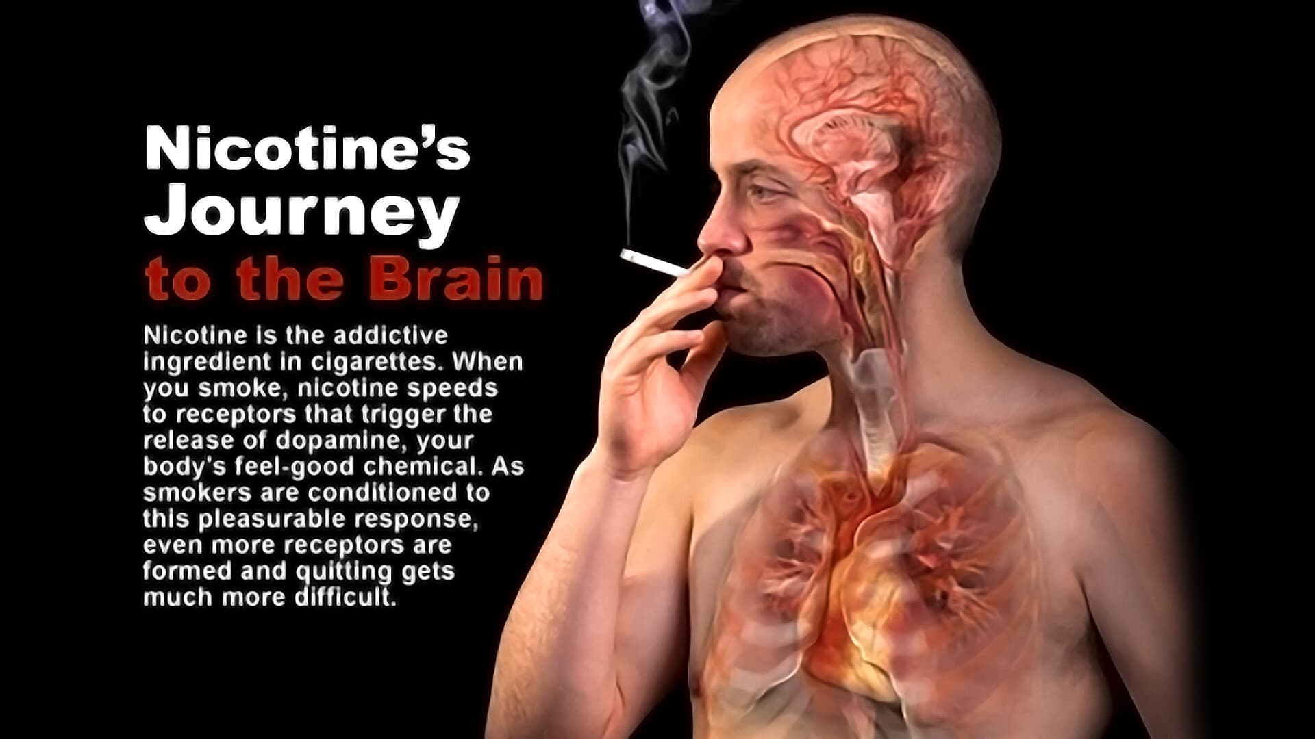Fact Check: Is nicotine haram?