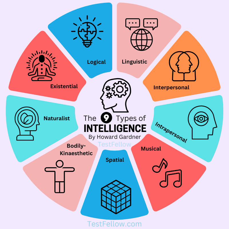 Fact Check: IQ tests measure a range of cognitive abilities and intelligence.