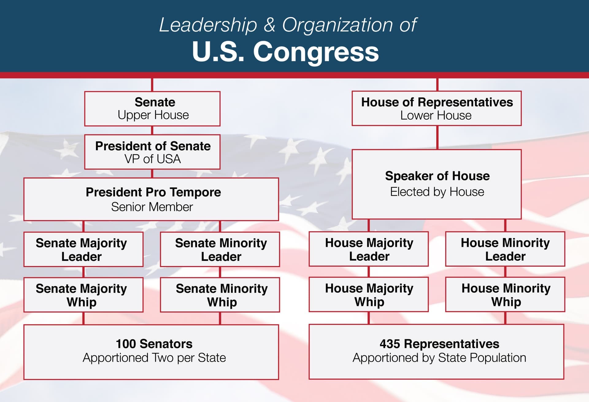 Fact Check: The US Congress consists of two chambers: the House of Representatives and the Senate.