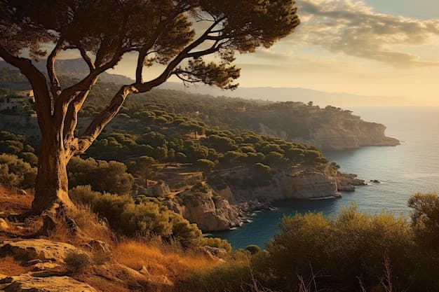 Fact Check: The Mediterranean region is known for its sun-drenched climate.