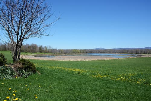 Fact Check: Wetlands are critical habitats for many species.