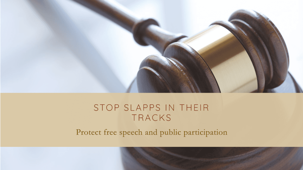 Fact Check: SLAPP lawsuits aim to silence public participation through legal intimidation.