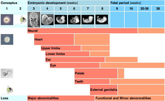 Fact Check: The neonatal period is critical for infant health and development.