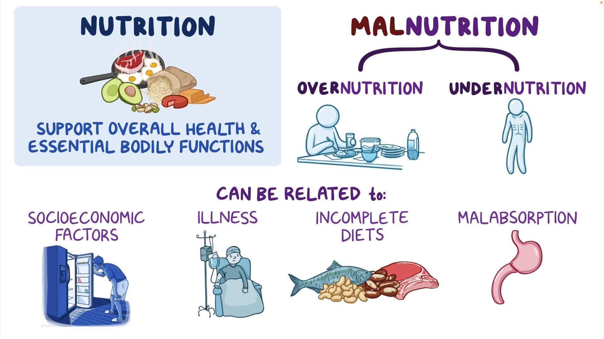 Fact Check: Malnutrition can lead to severe psychological effects in individuals.