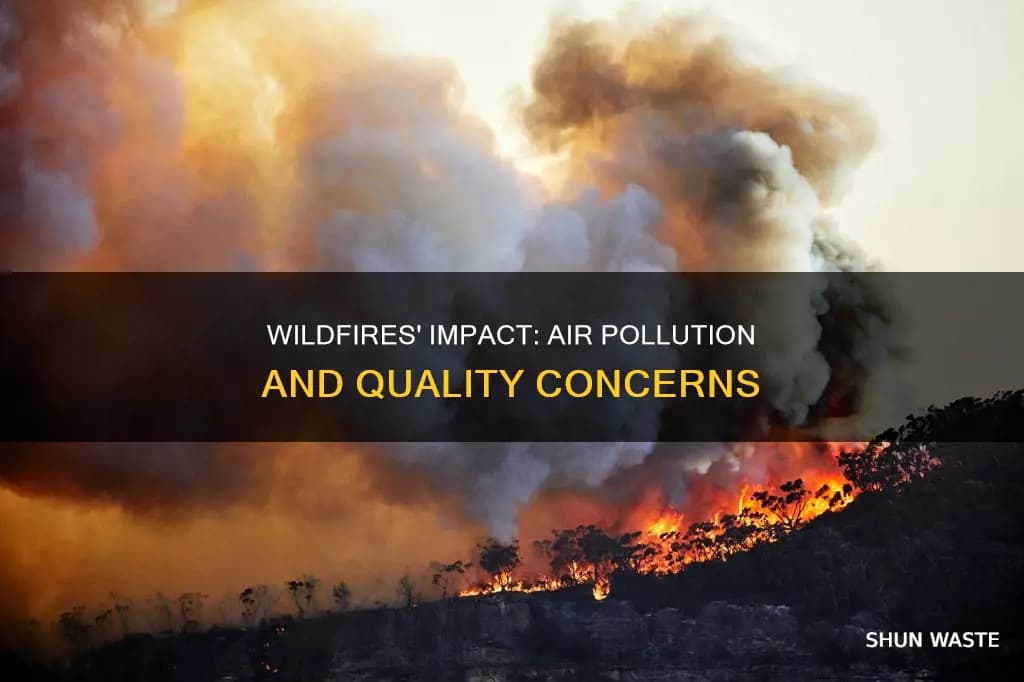 Fact Check: Air pollution from wildfires can worsen air quality over large areas.