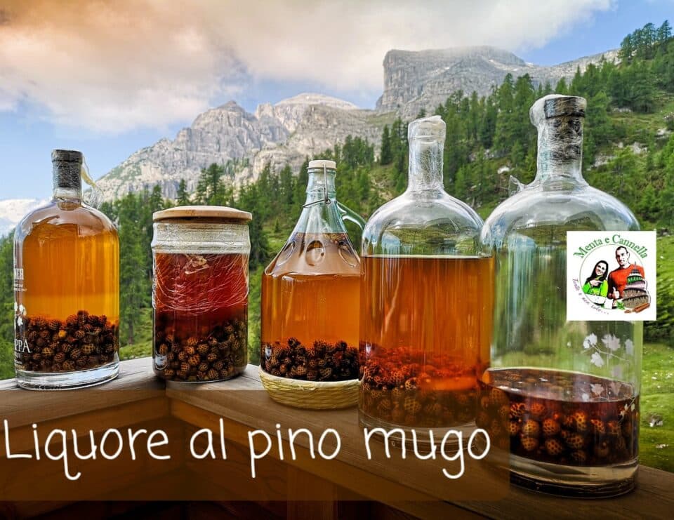 Fact Check: Il nome del liquore Grappa deriva dal monte grappa?
