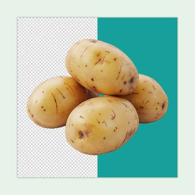Fact Check: Is potato a vegetable?