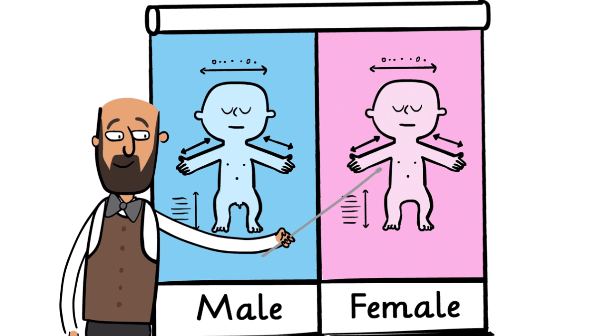 Fact Check: Transgender women are individuals assigned male at birth who identify as female.