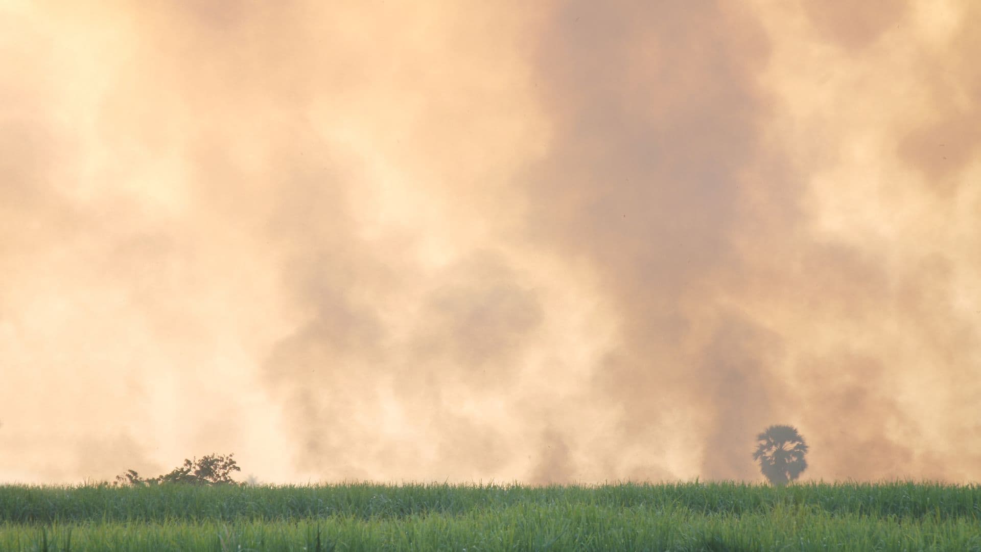 Fact Check: Rising greenhouse gas levels are linked to climate change.
