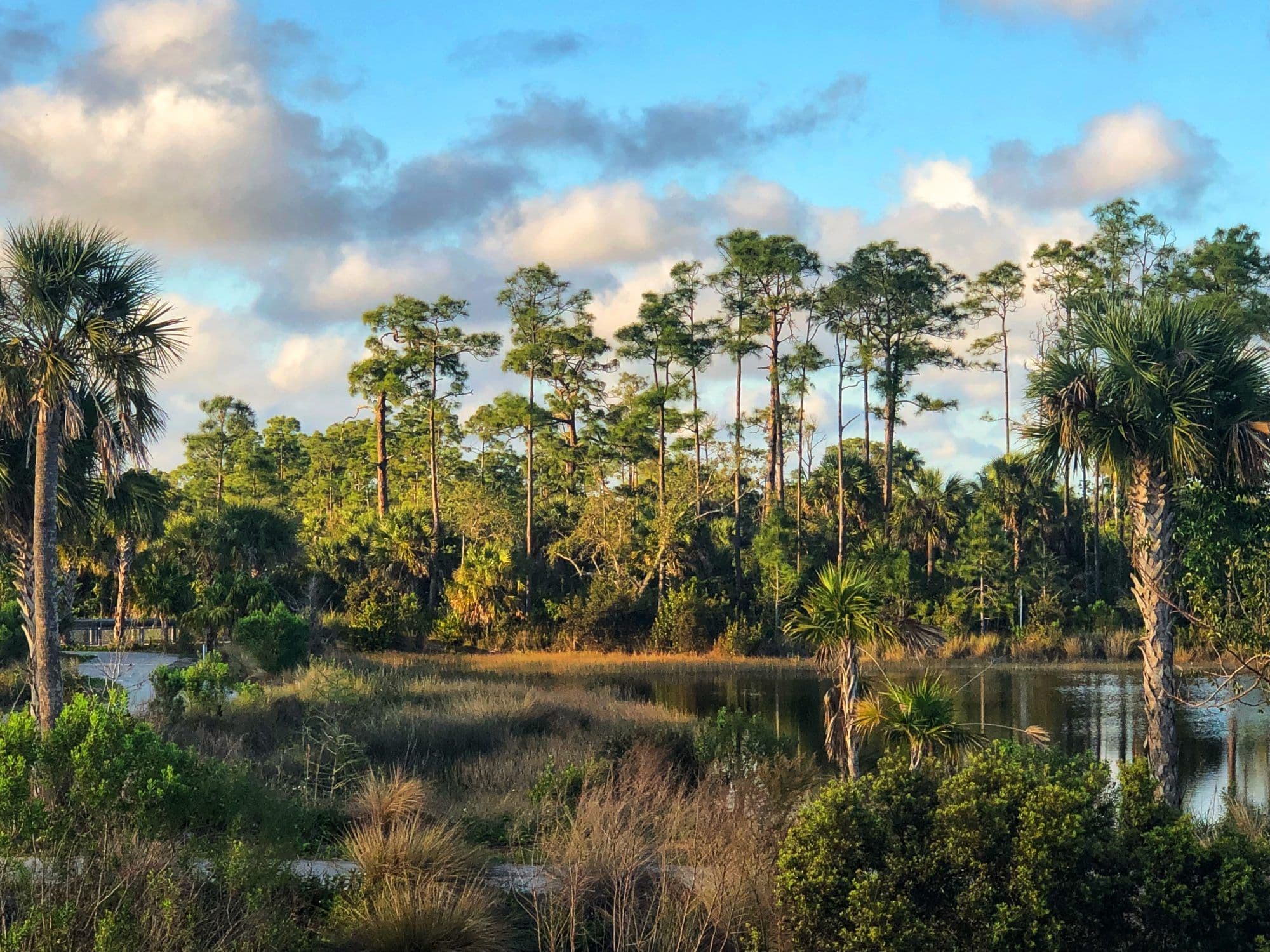 Fact Check: Florida is home to the largest subtropical wilderness in the United States.