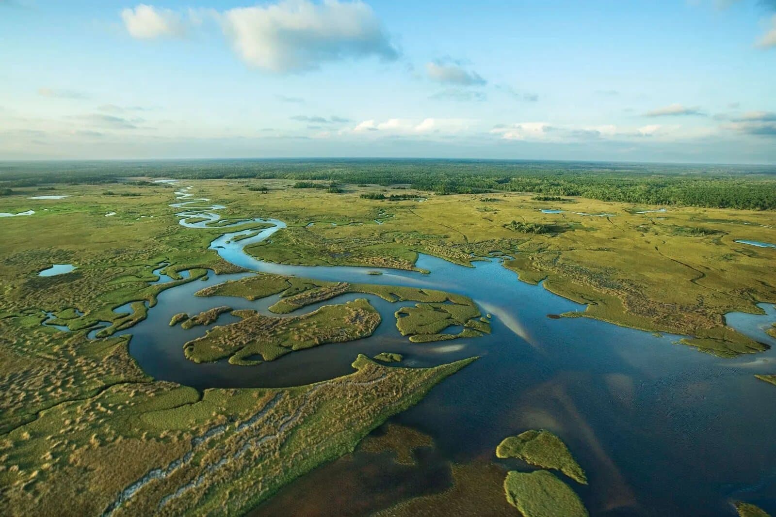 Fact Check: The Everglades National Park was established to protect its unique ecosystem.