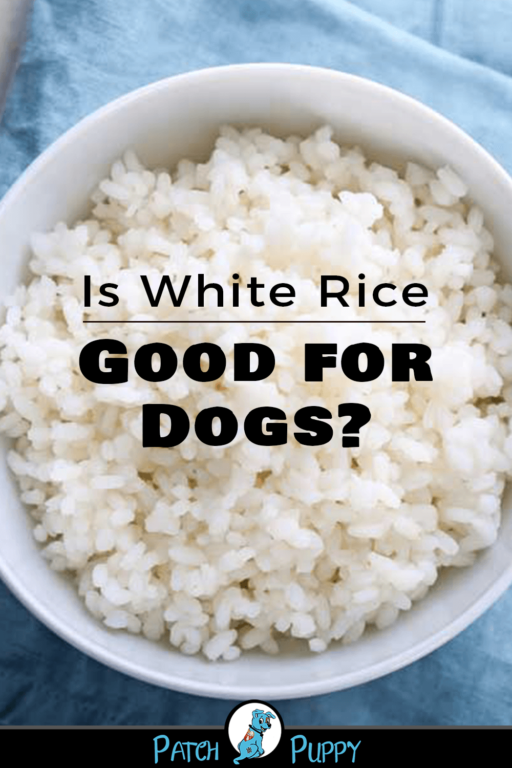 Fact Check: Is rice good for dogs?