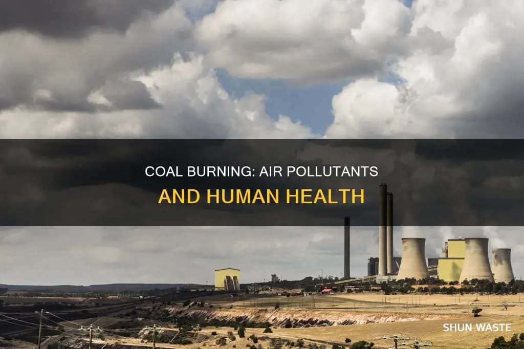 Fact Check: Air pollution from coal contributes to health problems and environmental degradation.