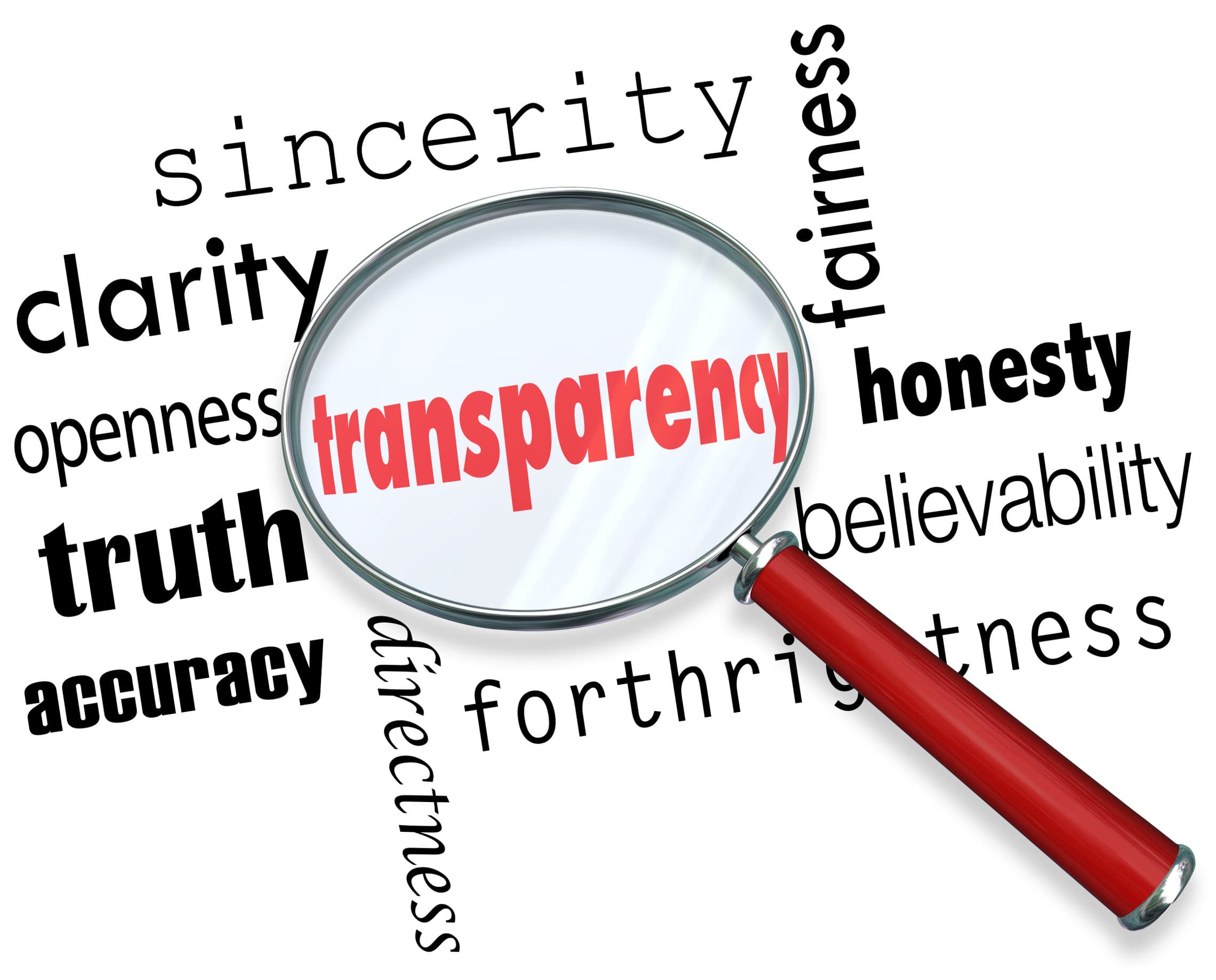 Fact Check: Transparency is a key principle in maintaining public trust in government.