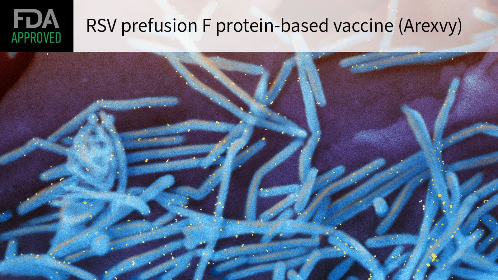 Fact Check: Is rsv vaccine safe?