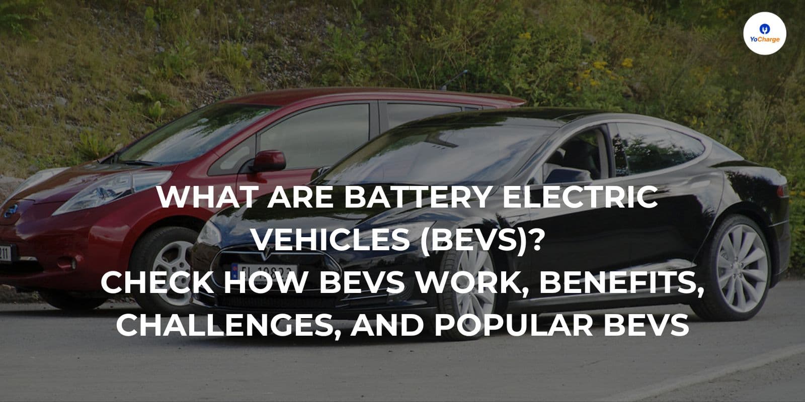 Fact Check: Electric vehicles are becoming increasingly popular among consumers.