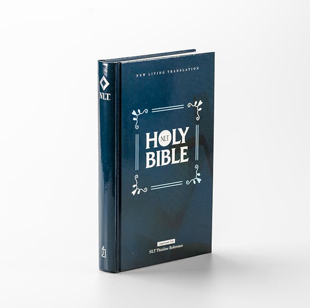 Fact Check: Is the nlt translation good?