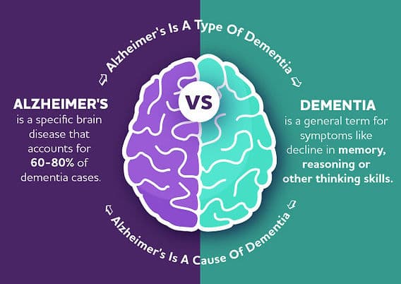 Fact Check: Dementia is a progressive neurological disease affecting memory and cognitive function.