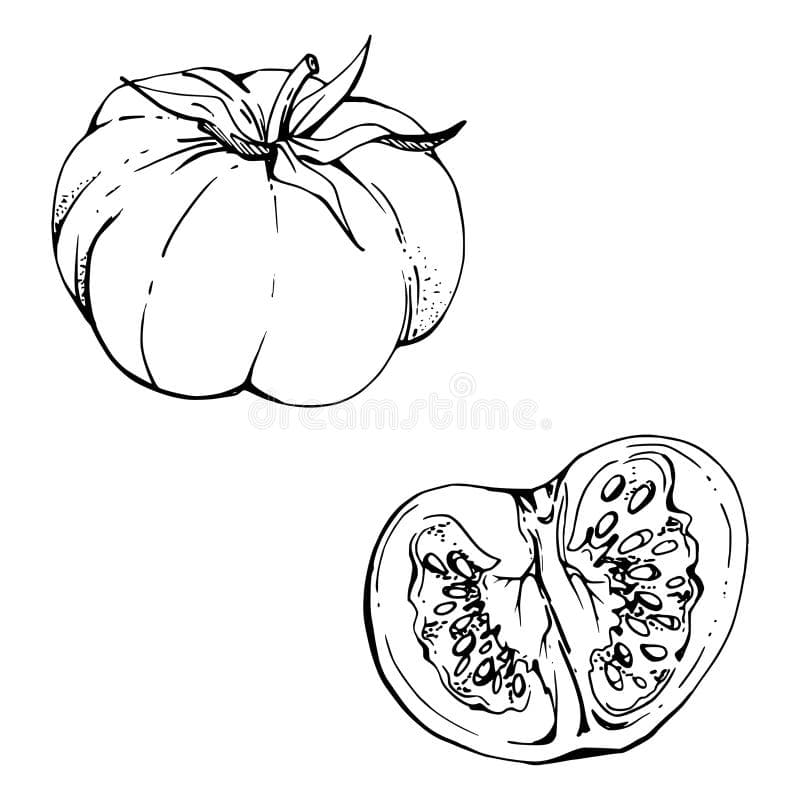 Fact Check: Is tomato a fruit or a vegetable?