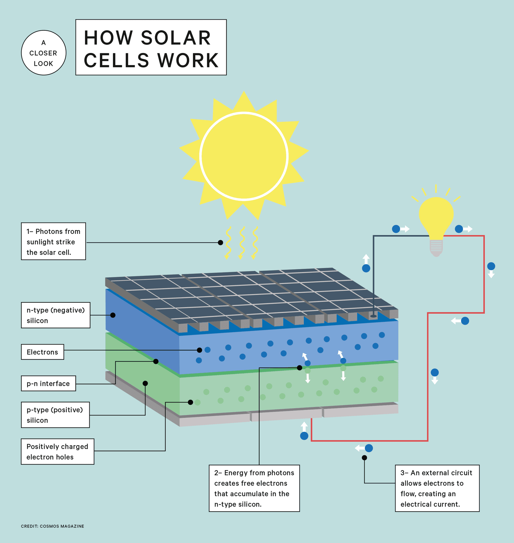 Fact Check: Solar panels convert sunlight into electricity.