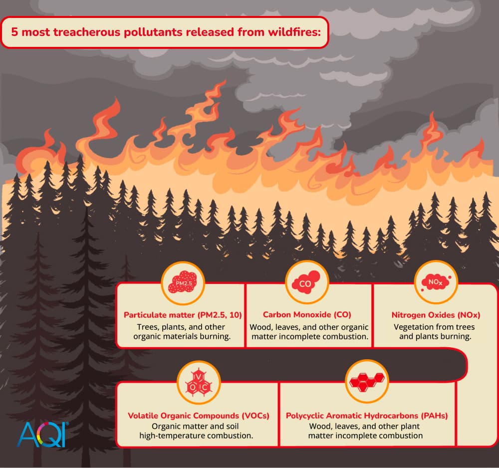 Fact Check: Air pollution from wildfires can significantly impact air quality.