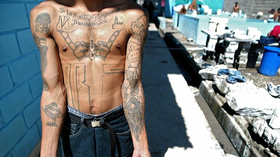 Fact Check: What does ms13 do?
