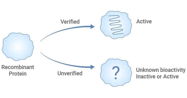 Fact Check: Is vs its?